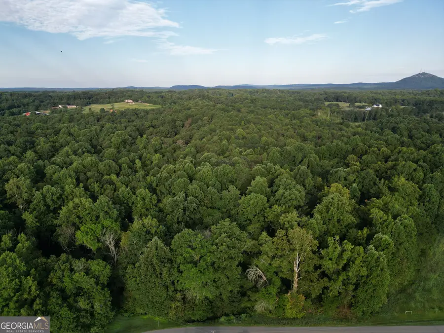 0 N Broad River Road, Eastanollee, GA 30538 - #2
