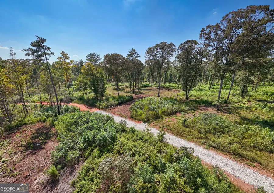 0 Hwy 100 #5 MACON LANE, Franklin, GA 30217 - #3