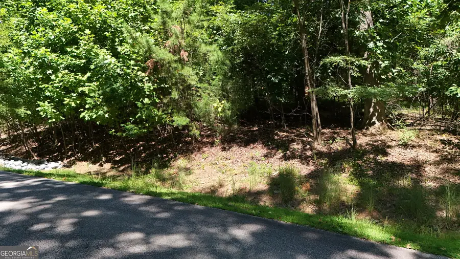 LOT 229 Stone Cliff Trace, Cleveland, GA 30528 - #2