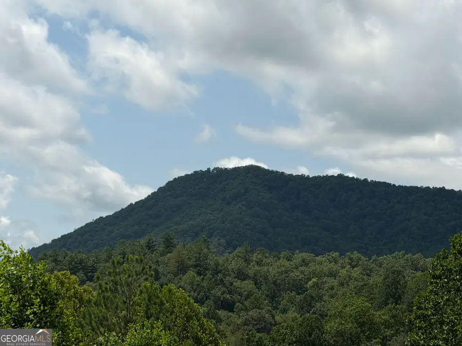 7129 Tantrough Farms, Hiawassee, GA 30546 - #3