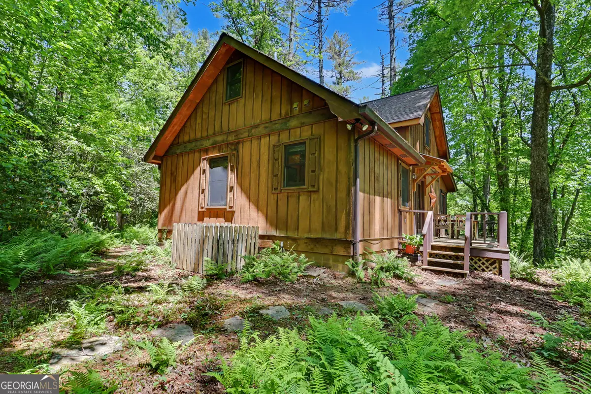 102 Moses Road, Rabun Gap, GA 30568 - #1