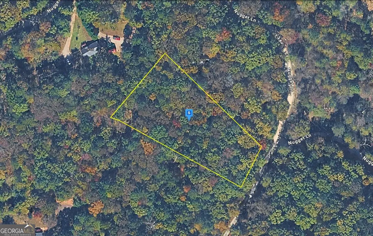 1164 Nugget Lane, East Ellijay, GA 30540 - #1