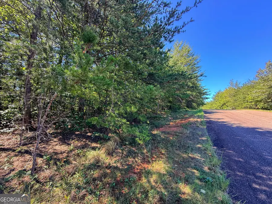 TRACT 2 Sunshine Ridge Drive, Toccoa, GA 30577 - #3