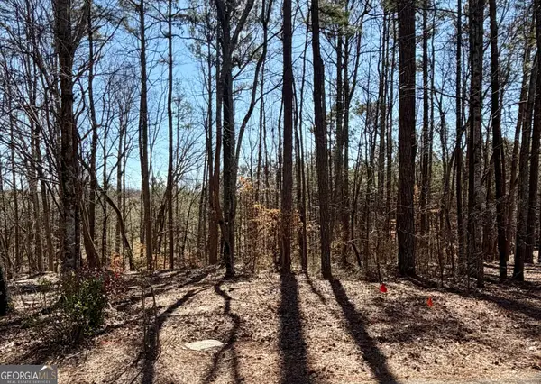2487 S Carroll Court, Villa Rica, GA 30180