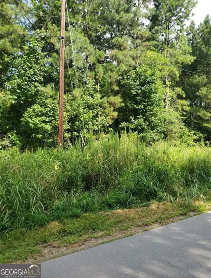 000 Dean Road, Aragon, GA 30104 - #2