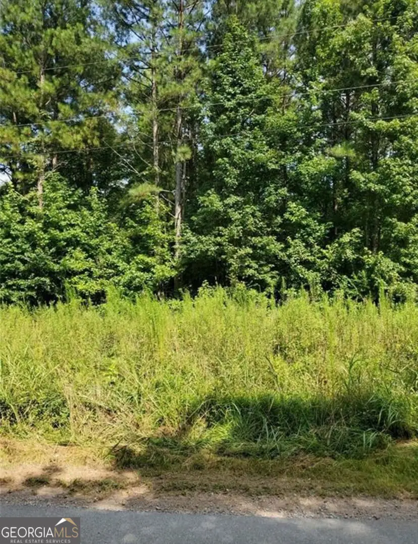 000 Dean Road, Aragon, GA 30104 - #3