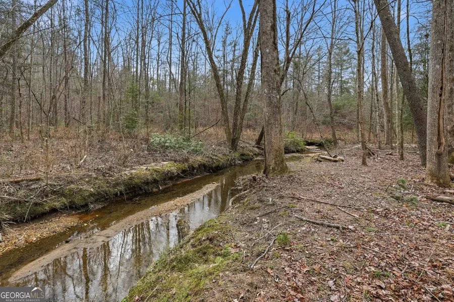 491 Jim Carter Road, Clarkesville, GA 30523 - #3
