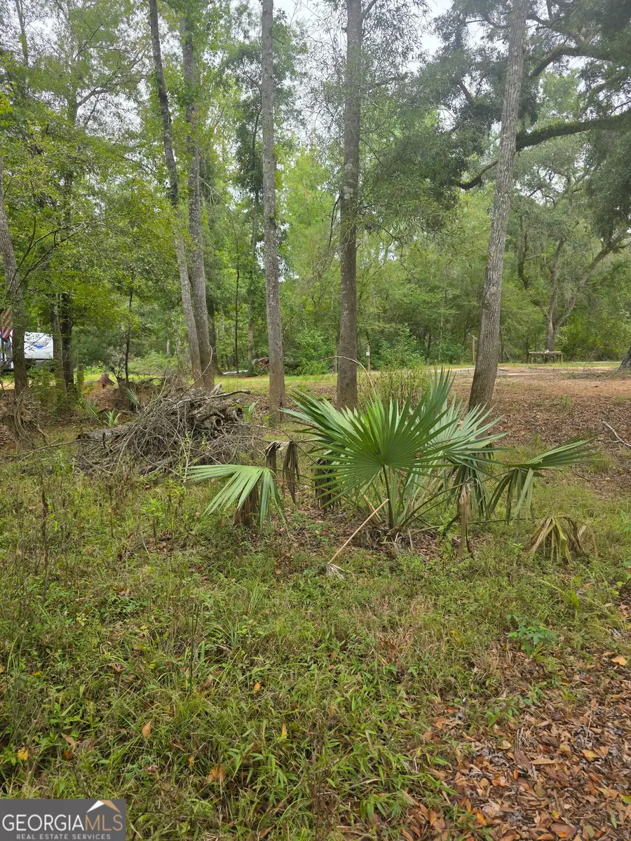 0 Morris Landing Road, Baxley, GA 31513 - #3