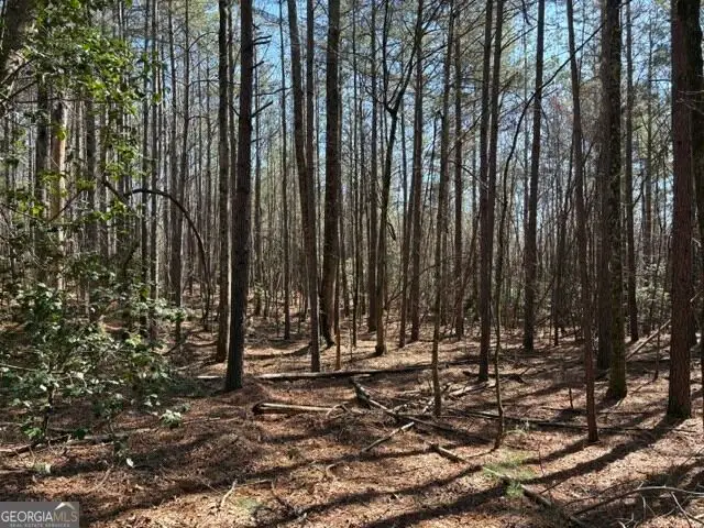 343 Hank Fry Rd, Clarkesville, GA 30523 - #1