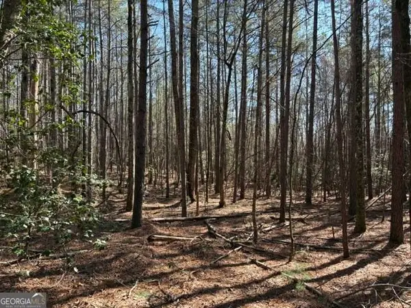 343 Hank Fry Rd, Clarkesville, GA 30523