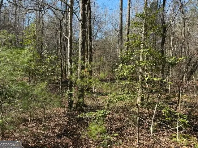343 Hank Fry Rd, Clarkesville, GA 30523 - #2