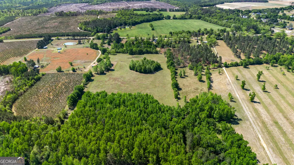 0 Perkins Greenfork Road, Millen, GA 30442 - #1