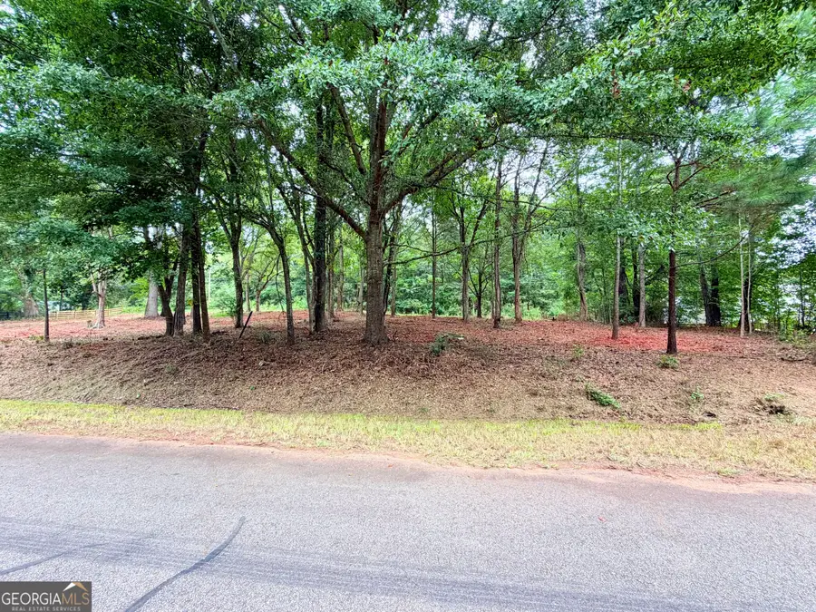 135 Joe Carey Road, Winterville, GA 30683 - #2