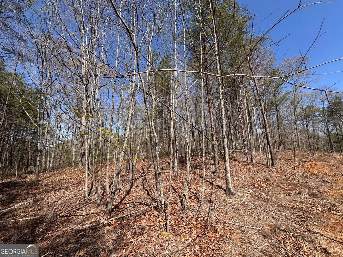 0 Highway 129 N, Cleveland, GA 30528 - #1