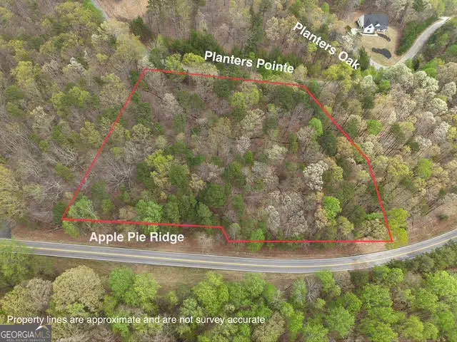 0 Planters Pointe Drive, Banks, GA 30511 - #1