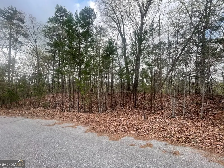 0 Planters Pointe Drive, Banks, GA 30511 - #3