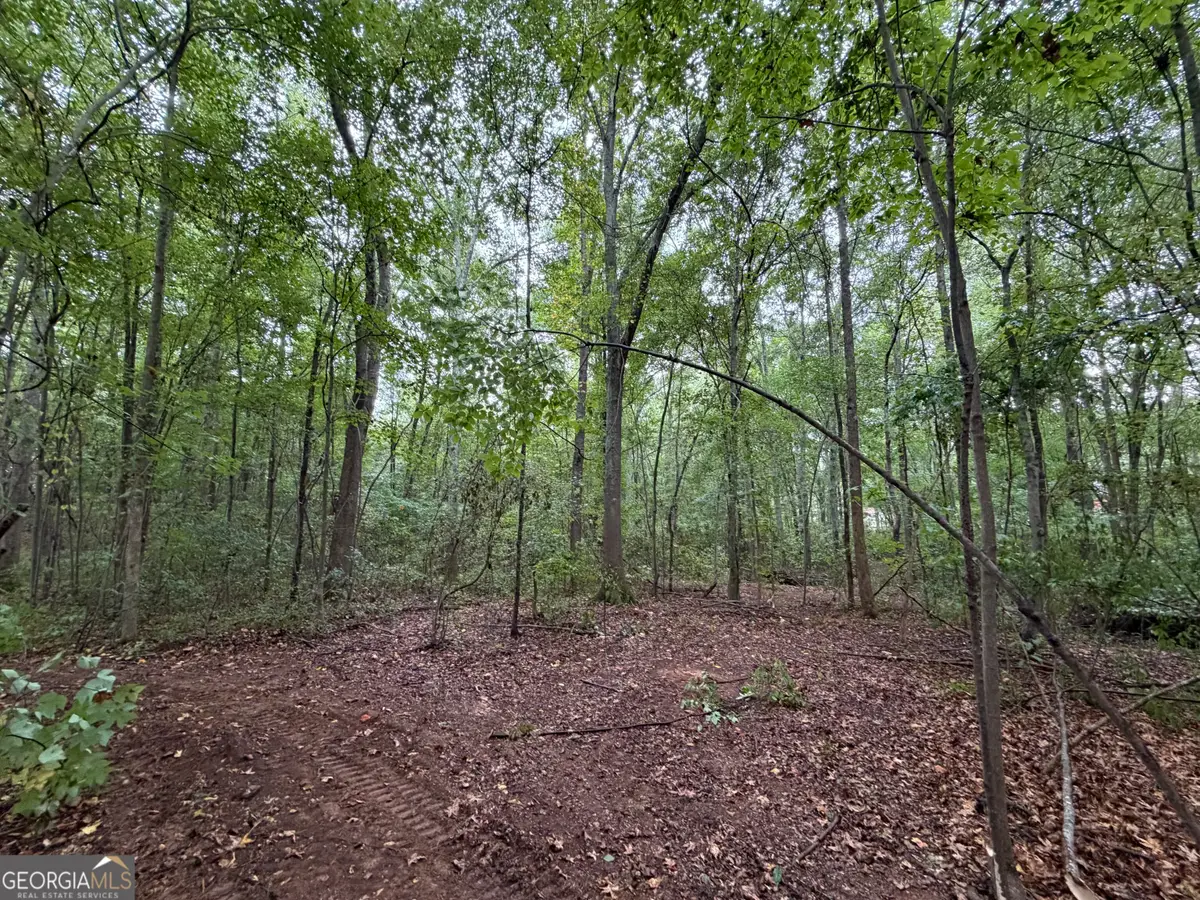 0 Caney Head Road, Roopville, GA 30170 - #1