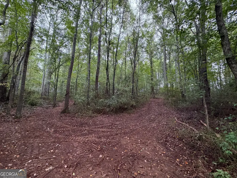 0 Caney Head Road, Roopville, GA 30170 - #2