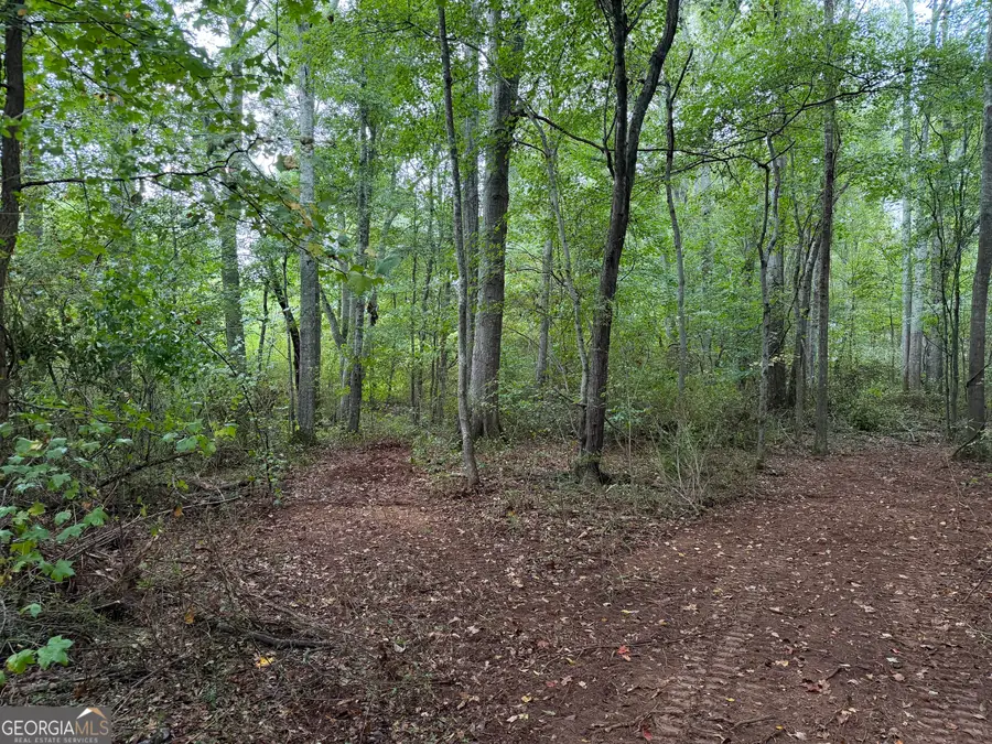 0 Caney Head Road, Roopville, GA 30170 - #3