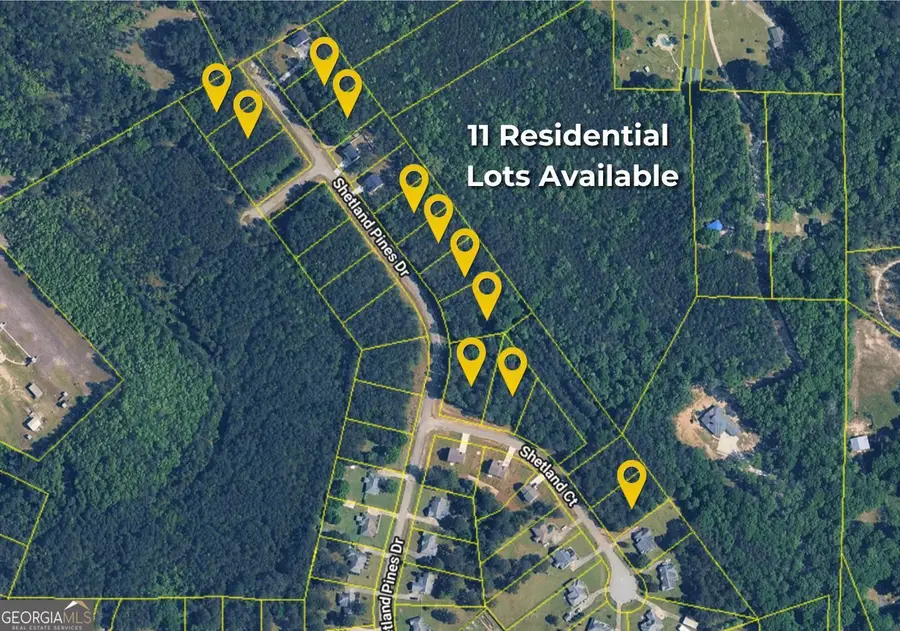 135 Shetland Pines Drive, Macon, GA 31216 - #3