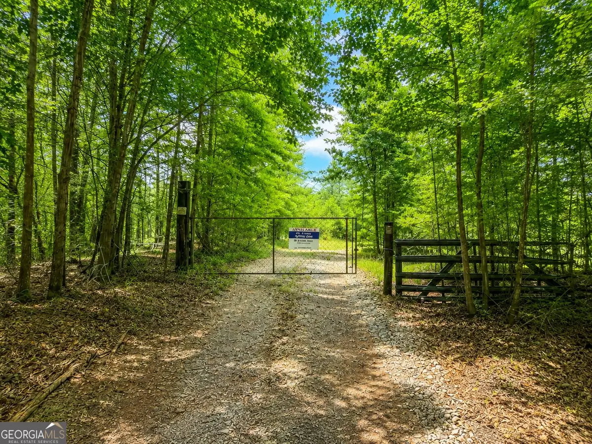 21 ACRES Cochran Road, Madison, GA 30650 - #1