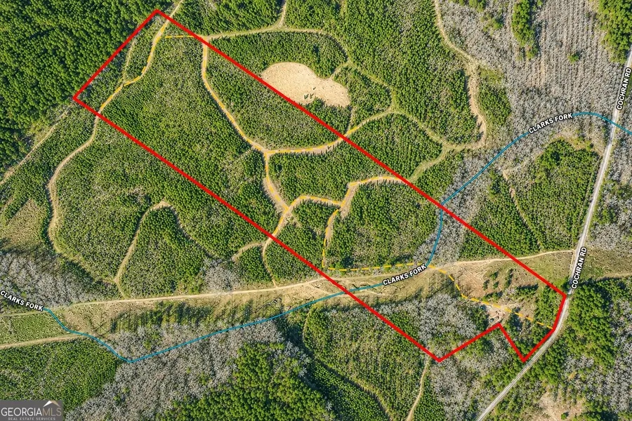 21 ACRES Cochran Road, Madison, GA 30650 - #2