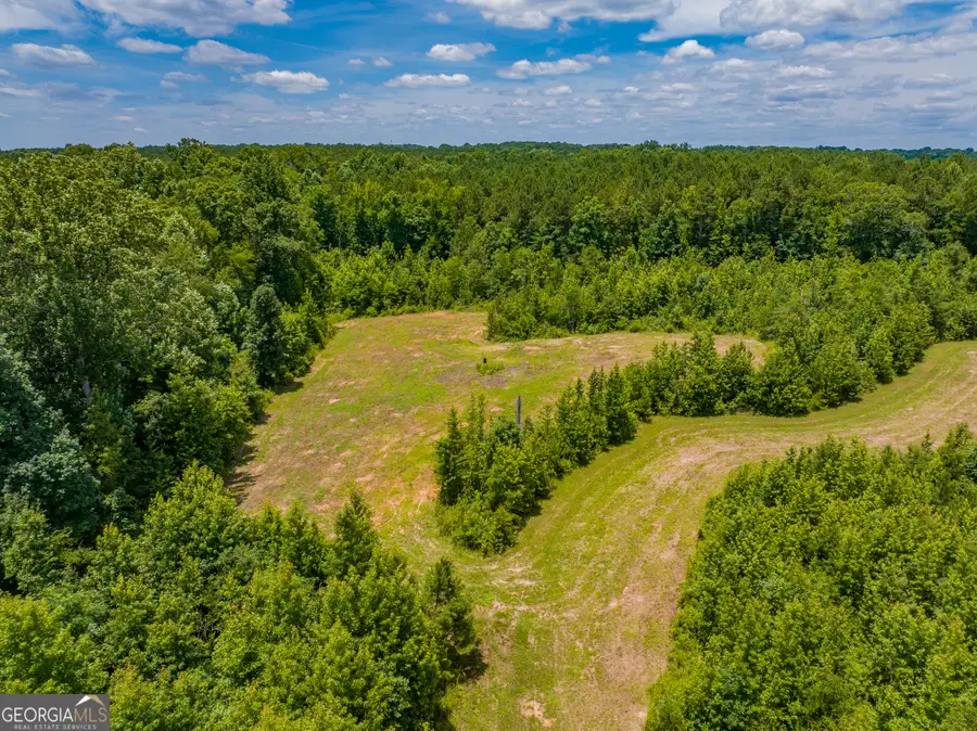21 ACRES Cochran Road, Madison, GA 30650 - #3