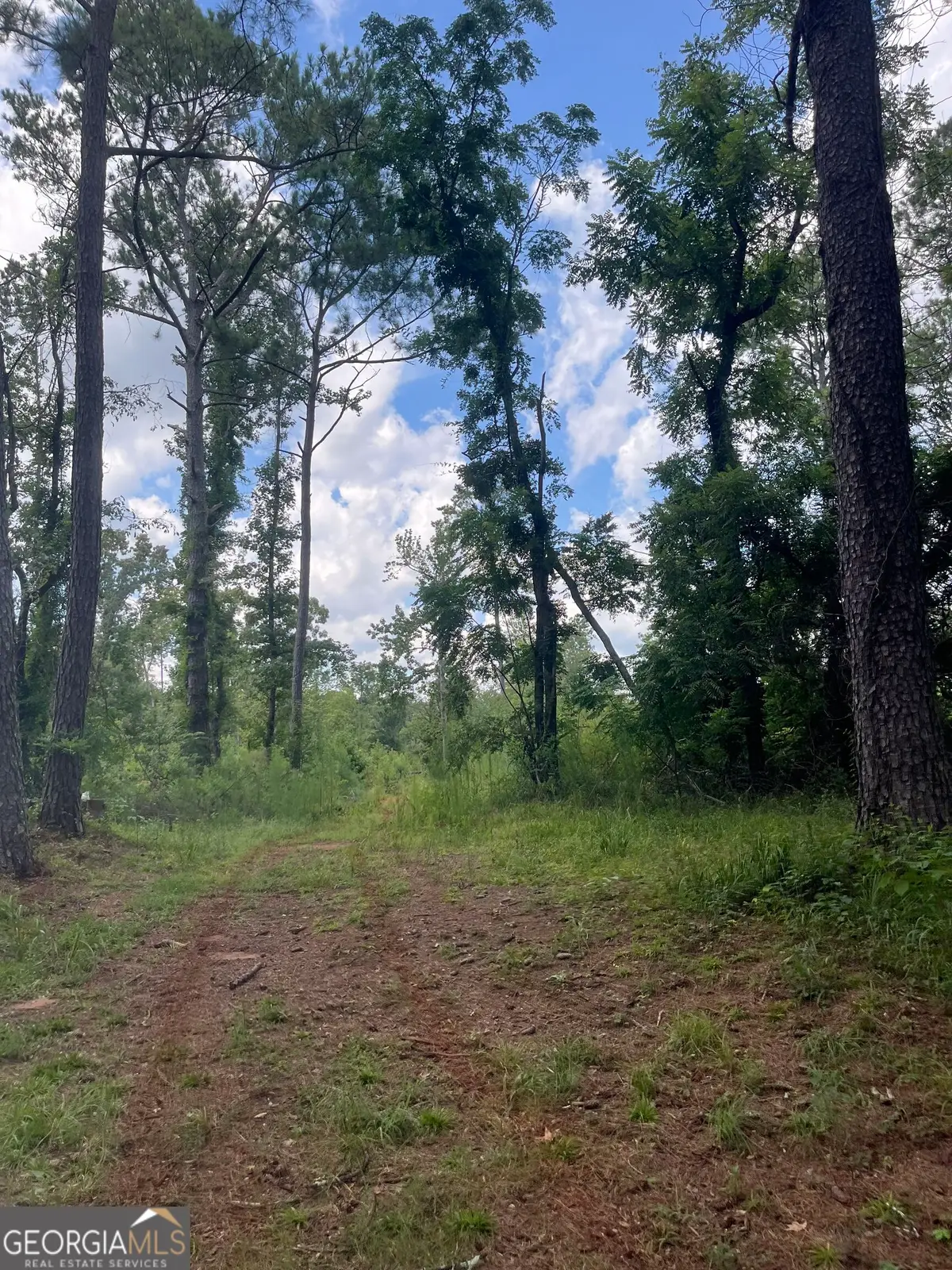 0 Anderson Road, Woodland, GA 31836 - #1