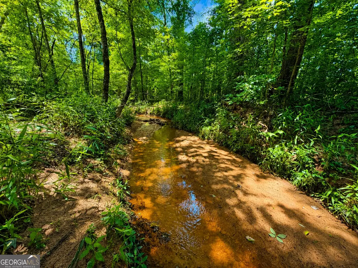 29 ACRES Cochran Road, Madison, GA 30650 - #1
