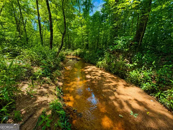 29 ACRES Cochran Road, Madison, GA 30650