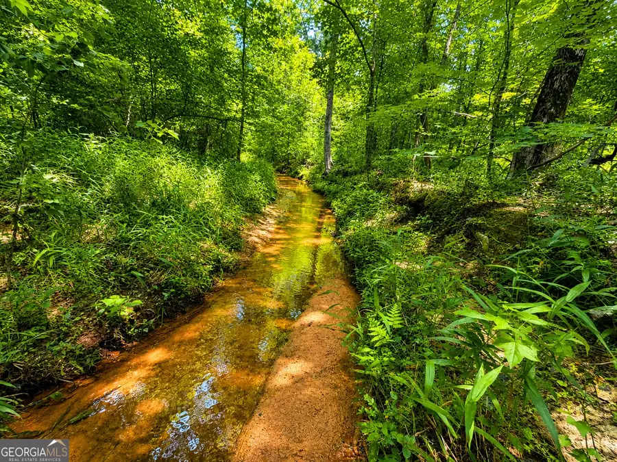 29 ACRES Cochran Road, Madison, GA 30650 - #2