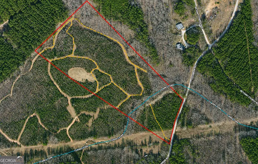 29 ACRES Cochran Road, Madison, GA 30650 - #3