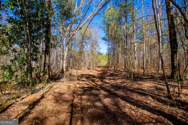 0 Hwy 166 E - 21+ Acres E, Bowdon, GA 30108