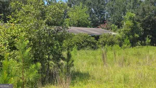 159 Grimsley Road, Colquitt, GA 39837