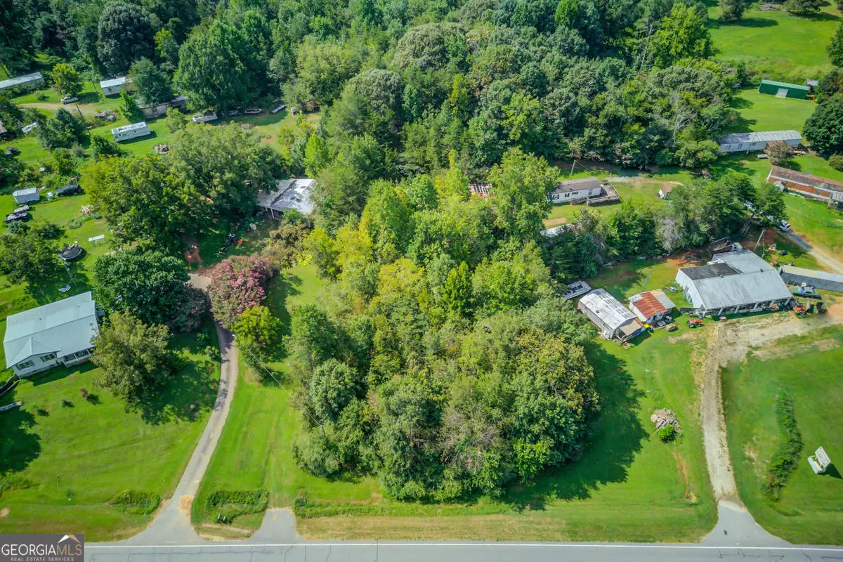 10154 Duncan Bridge Road, Cleveland, GA 30528 - #1