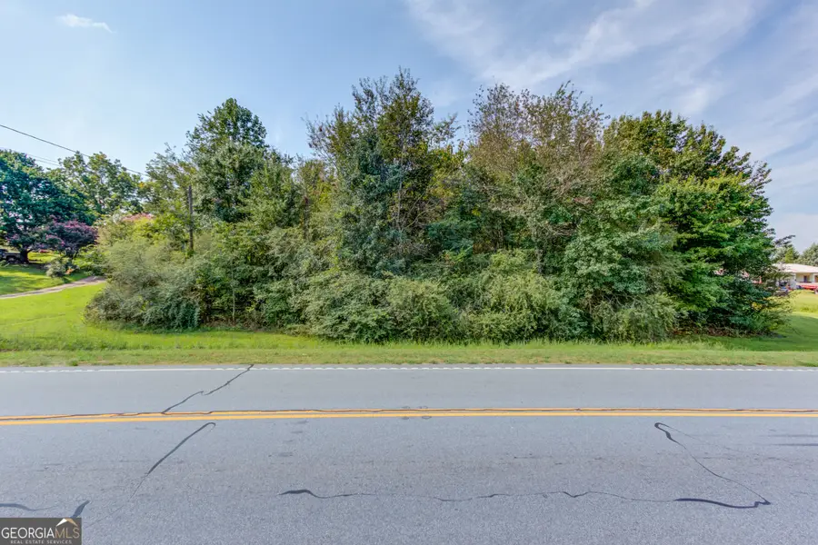 10154 Duncan Bridge Road, Cleveland, GA 30528 - #2