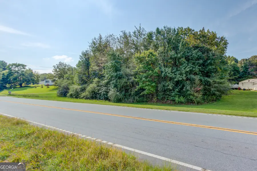 10154 Duncan Bridge Road, Cleveland, GA 30528 - #3