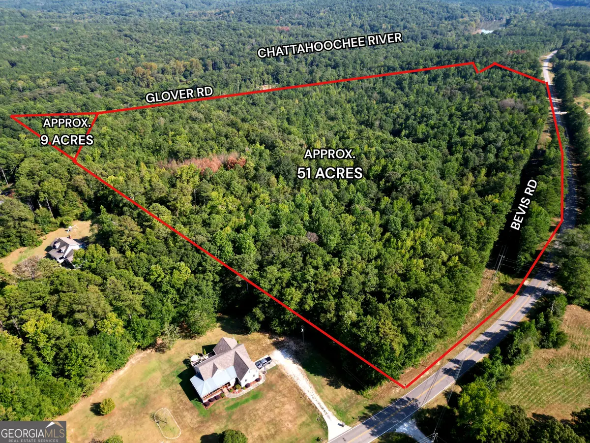 0 Bevis Road, Franklin, GA 30217 - #1