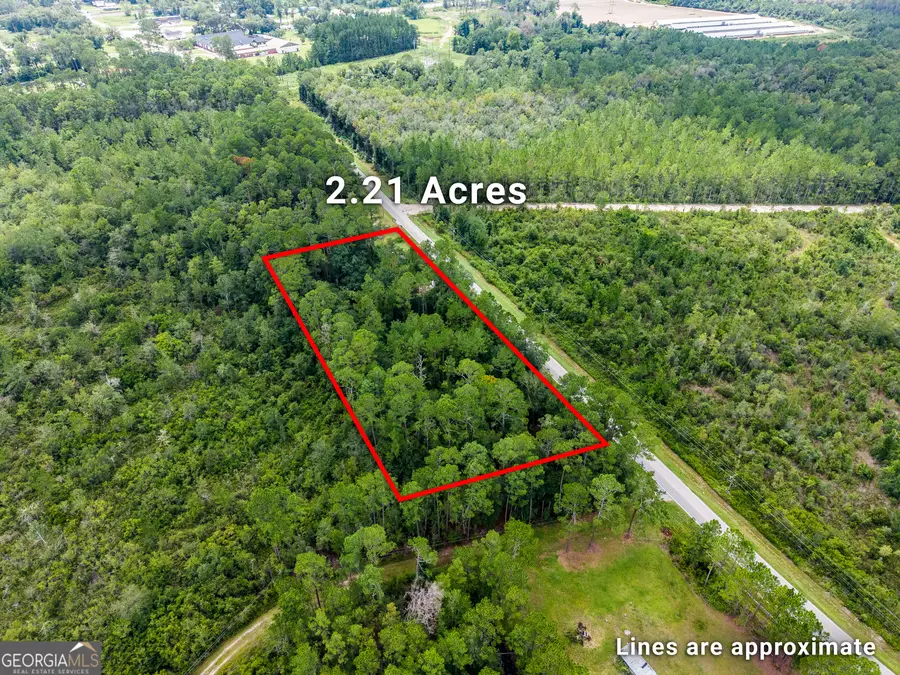 4531 S Manor Millwood Rd., Manor, GA 31550 - #2