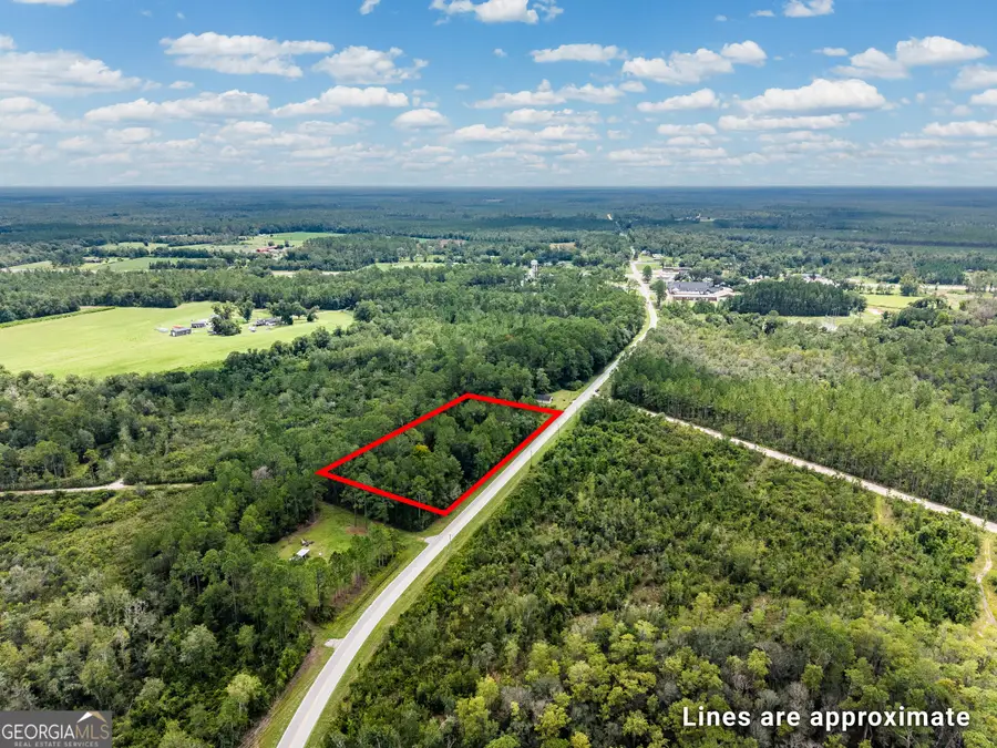 4531 S Manor Millwood Rd., Manor, GA 31550 - #3