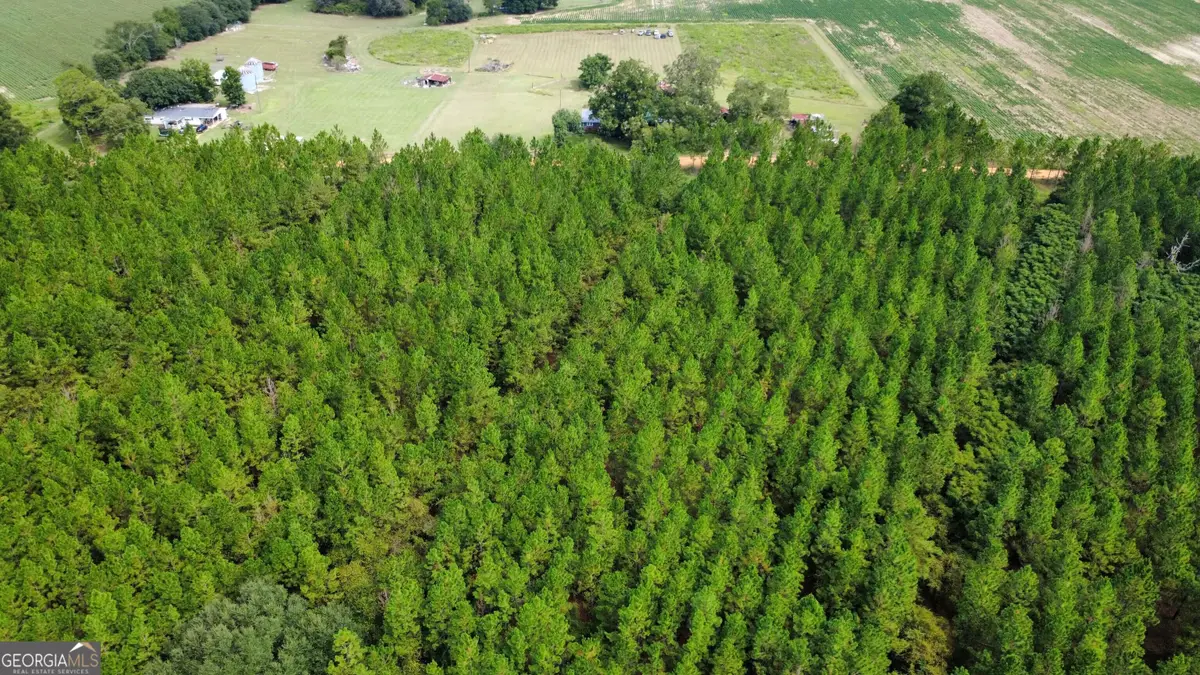 TRACT 2 A L Reeves Road, Fitzgerald, GA 31750 - #1