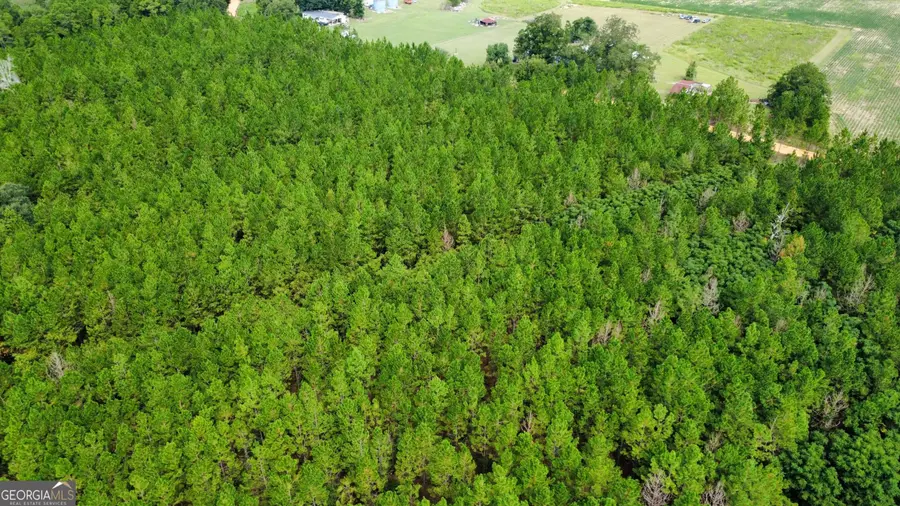 TRACT 2 A L Reeves Road, Fitzgerald, GA 31750 - #2