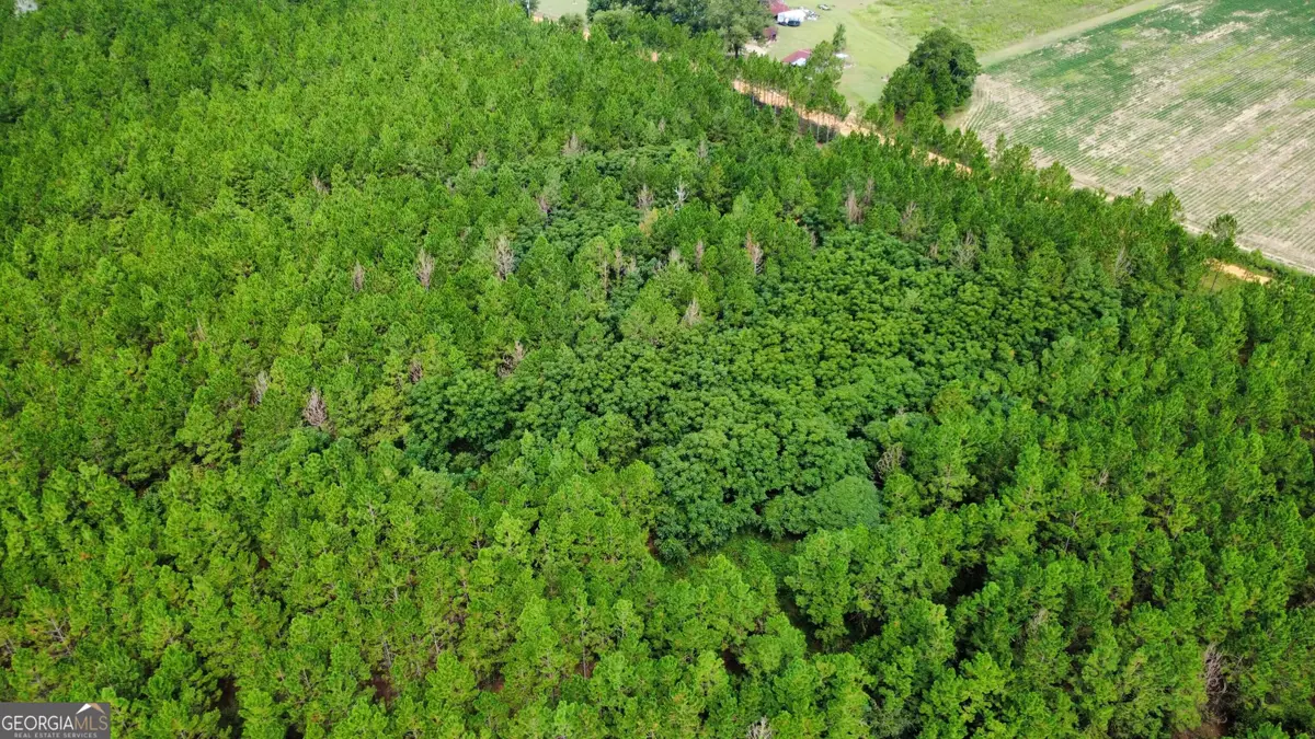 TRACT 3 A L Reeves Road, Fitzgerald, GA 31750 - #1