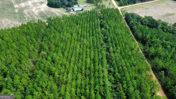 TRACT 4 A L Reeves Road, Fitzgerald, GA 31750