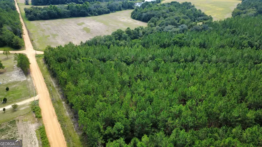 TRACT 4 A L Reeves Road, Fitzgerald, GA 31750 - #2