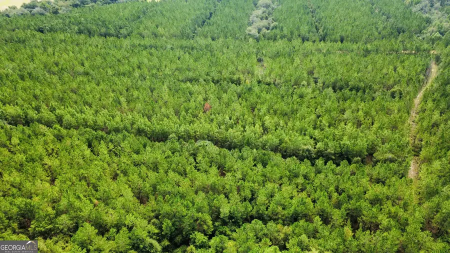 TRACT 6 Sunflower Road, Fitzgerald, GA 31750 - #2