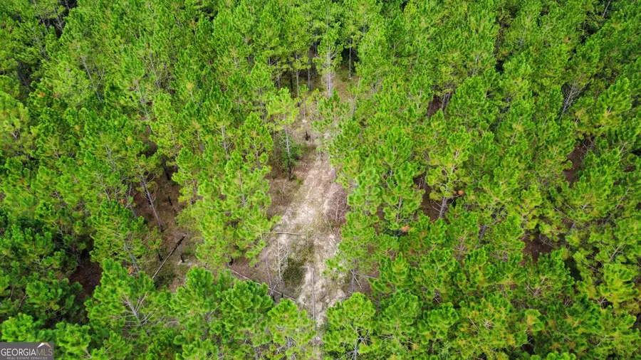 TRACT 6 Sunflower Road, Fitzgerald, GA 31750 - #3
