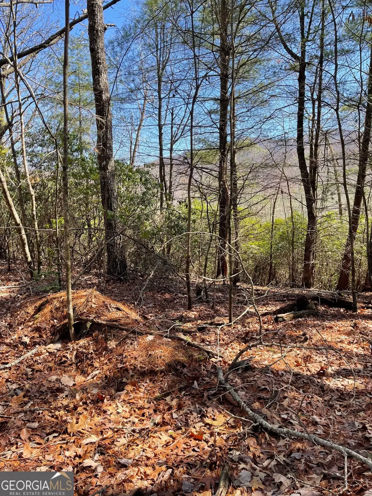 0 Chesada Lane, Blairsville, GA 30512 - #1