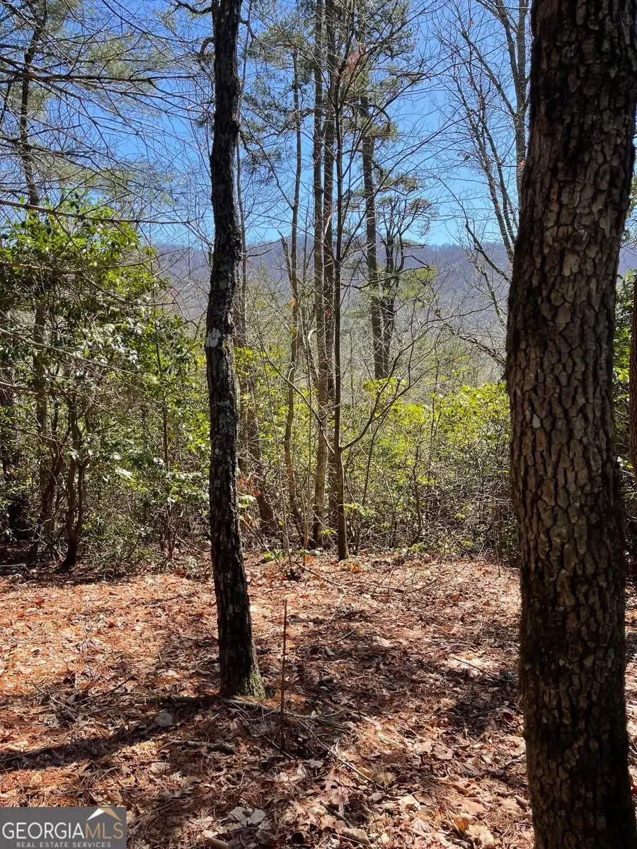 0 Chesada Lane, Blairsville, GA 30512 - #2