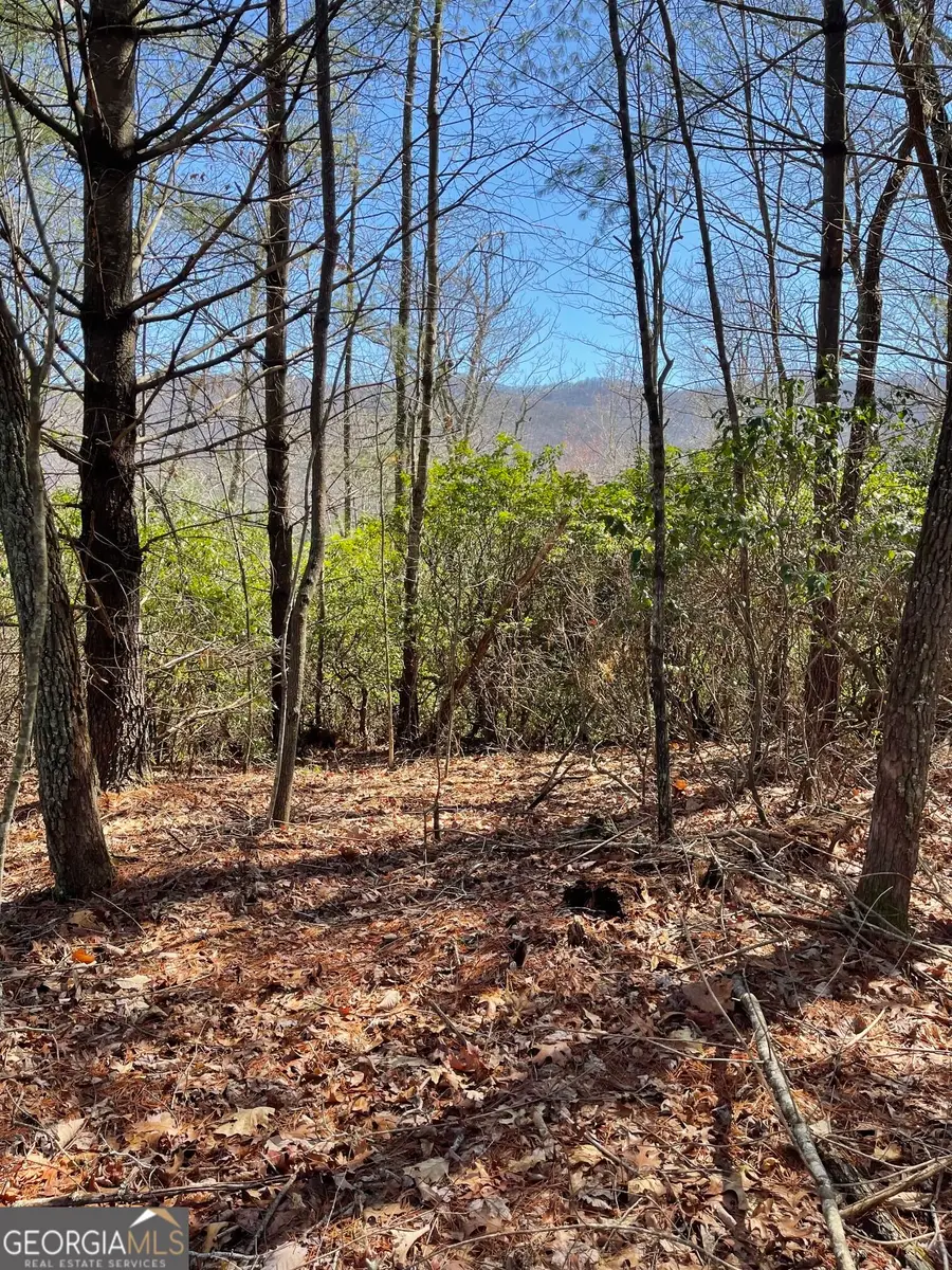 0 Chesada Lane, Blairsville, GA 30512 - #3